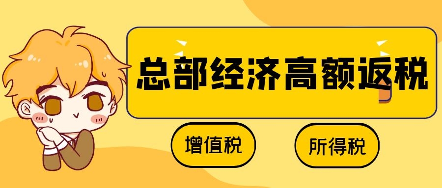 湖南國家級園區 國資控股 財政返還 即征即返！